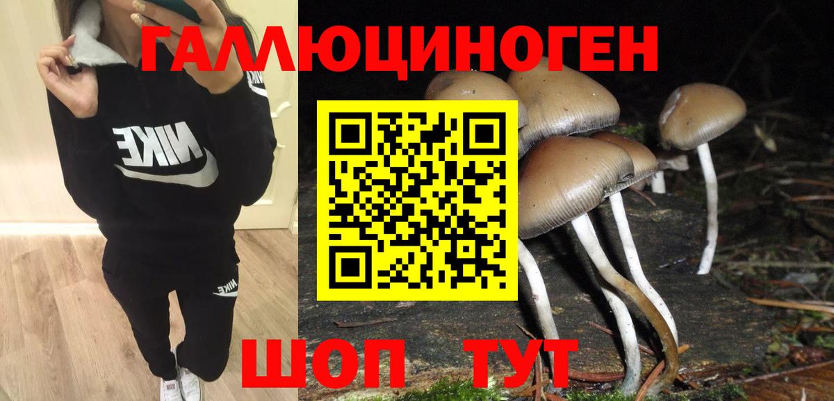 закладка  Галлюциногенные грибы Cubensis  Вход с VPN  Жуковский 